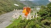 走跳山野 楓紅雞翻轉部落｜奧萬大山中傳奇｜華視新聞雜誌