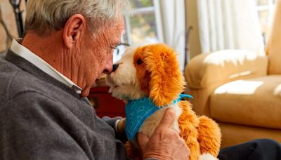 Ancianos de Nueva York reciben mascotas robóticas para combatir la soledad