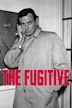 The Fugitive