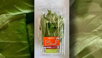 Trader Joe's recalls basil amid salmonella outbreak, investigation