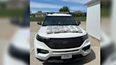 Woman arrested with $2.2 million in meth, child in car during traffic stop on I-80