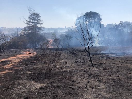 Incêndio destrói 12 hectares de área de pastagem às margens de estrada vicinal, em Osvaldo Cruz