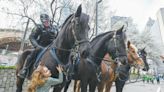 Mounted police units offer tradition, spectacle and service in modern law enforcement