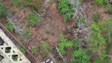 奇蹟！美國19歲男摔落超過120公尺深峽谷 僅雙臂擦傷