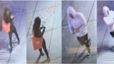 New photos show suspects wanted in vandalism incidents in Philadelphia's Spring Garden section