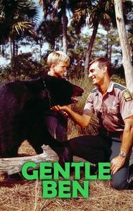 Gentle Ben