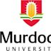 université Murdoch