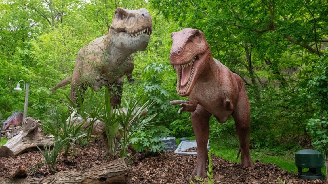 New experiences coming to Cleveland Metroparks Zoo: Dino Cove, Swan Voyage boats