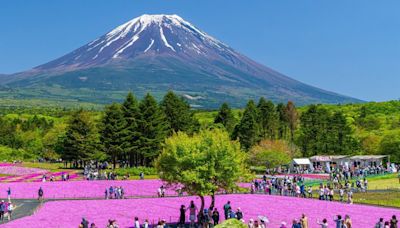 日本富士山攀登新制將上路！ 民眾欲爬山「需先上網預約」