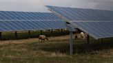 Germany’s Solar Panel Industry, Once a Leader, Is Getting Squeezed