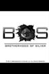 BoS: Brotherhood of Silver