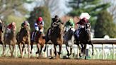 How do Kentucky Derby racehorses get their names?