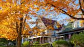 Why Do Leaves Change Color in the Fall?