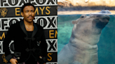 Donald Glover's 'Mr. & Mrs. Smith' jokes about Fiona the hippo, gives credit to wrong zoo