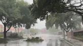 Árboles caídos y algunas acumulaciones de agua en el Uptown de Houston