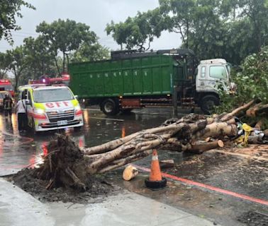 凱米颱風吹倒高雄路樹 64歲女騎士遭重壓送醫不治