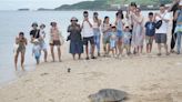 海龜保育員養成計畫！小朋友墾丁後壁湖親手放生欖蠵龜