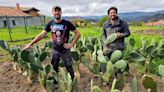 La huerta azteca brota en Villaviciosa: nopal, tomatillos y jalapeños en Castiello la Marina