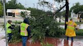 Plano crews work to clear debris, restore power following severe weather