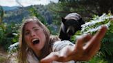 Cocaine Bear review: Horror comedy about drug-crazed animal lives up to its gloriously stupid title