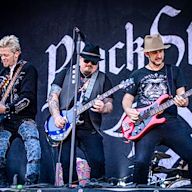 Black Stone Cherry