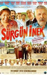 Sürgün Inek