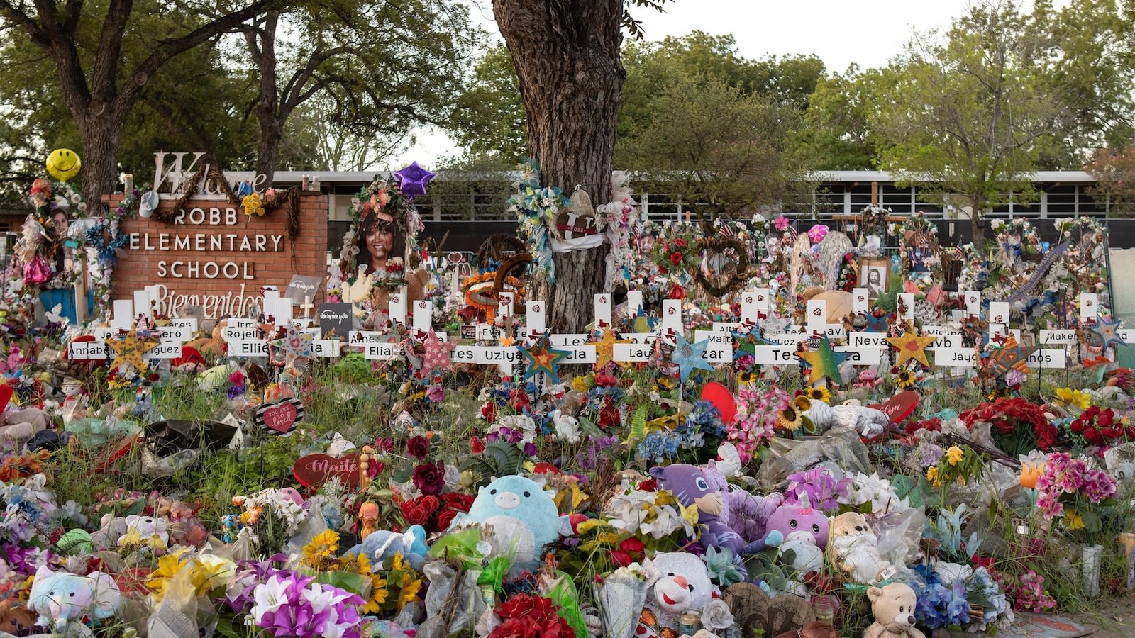 Former Uvalde school police chief charged with 10 counts of 'abandoning and endangering' Robb Elementary survivors