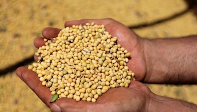 Exportação de farelo de soja do Brasil caminha para recorde em julho Por Reuters