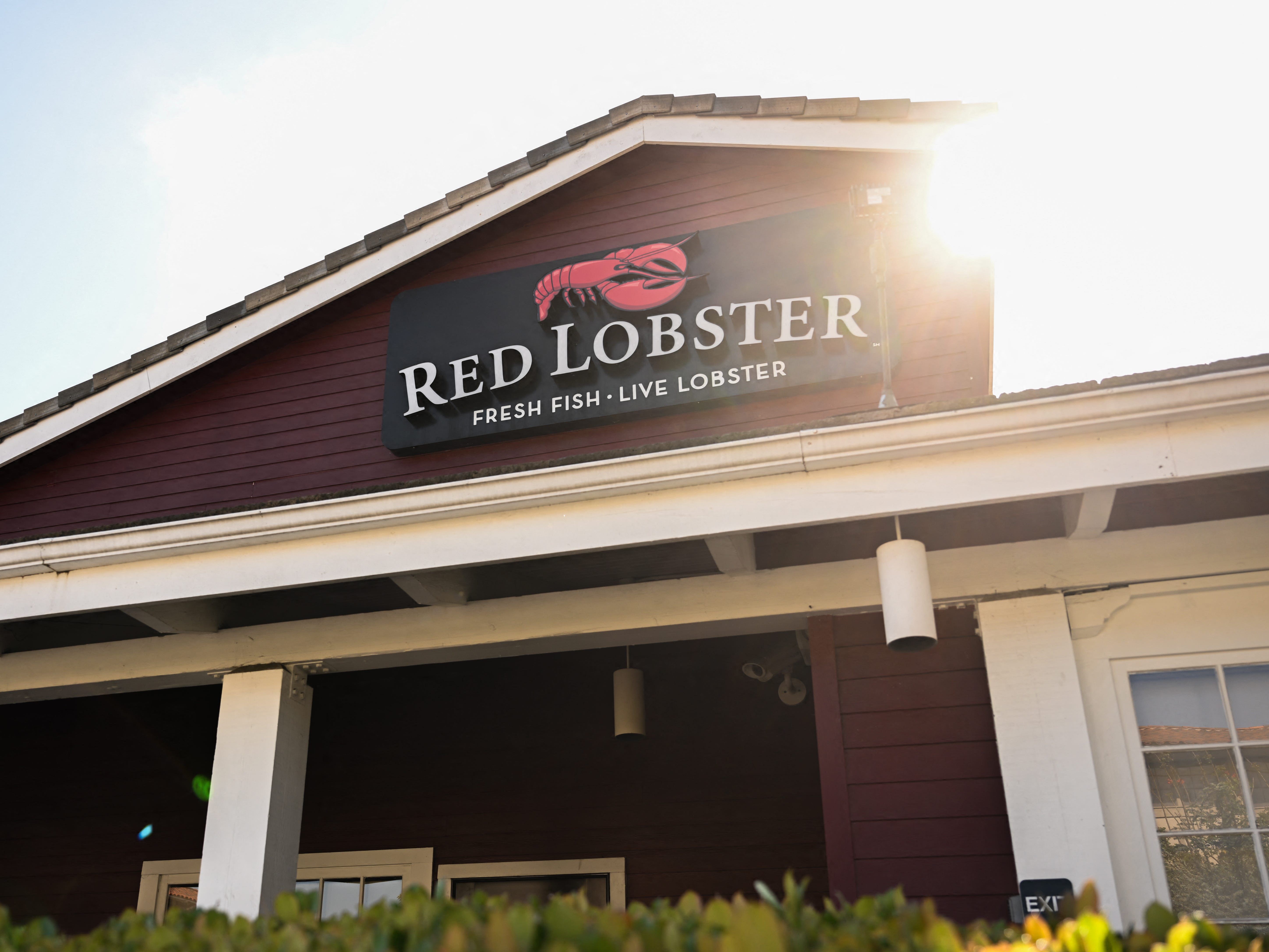 The rise and fall of Red Lobster, which just filed for bankruptcy after a failed endless shrimp promotion