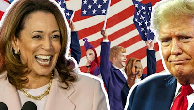 Trump falls for 'airplane reflection' conspiracy claiming Kamala Harris faked her crowds with AI