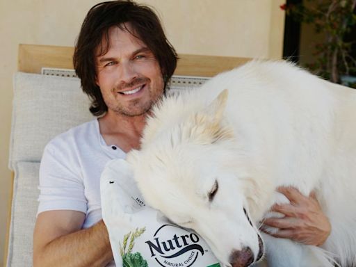 Actor Ian Somerhalder Shares An Important Message About Pet Health