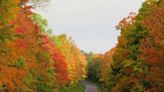 Michigan fall colors: Best roads in metro Detroit for a fall foliage tour