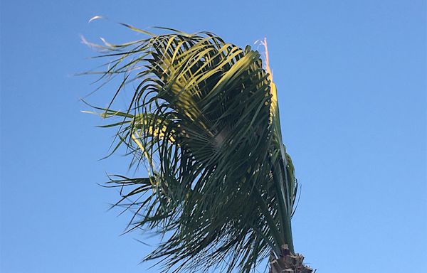 Powerful winds expected to blow into Las Vegas valley over weekend