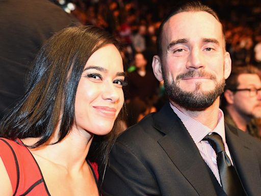 WWE Star Has Discussed The Possibility Of AJ Lee’s Return To The Ring With CM Punk - PWMania - Wrestling News