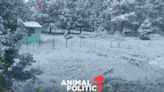 Tormenta invernal deja las primeras nevadas en Chihuahua, Durango, Sinaloa y Nuevo León
