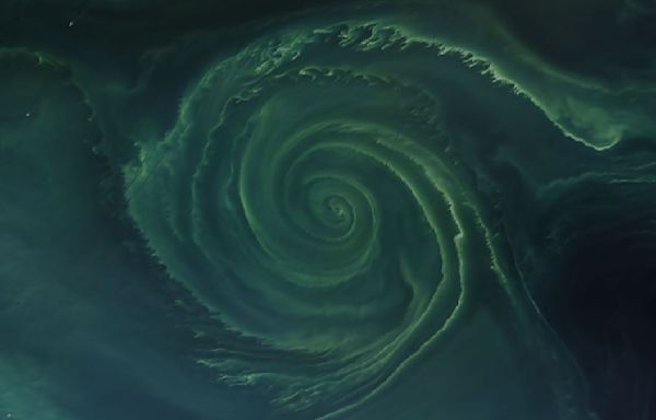 Earth from space: Ethereal algal vortex blooms at the heart of massive Baltic 'dead zone'