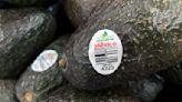 Assault on US avocado inspectors in Mexican state led to suspension of inspections | ABC6