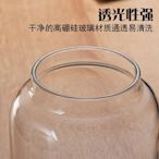 現貨 ：大容量罐密封空青柑包裝罐防潮桶容器瓶玻璃陳皮儲存茶葉罐子