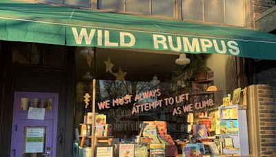 Inside Wild Rumpus Books, the coolest bookstore home to cats, chinchillas and more pets