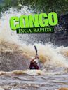 Congo: The Grand Inga Project