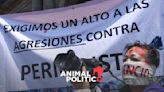 En el sexenio de AMLO asesinaron a 46 periodistas; agresiones contra la prensa aumentaron 62% respecto al gobierno de Peña Nieto