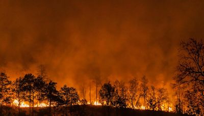 What is a wildfire? How you can check for travel advice before going on holiday