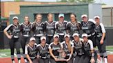 SOFTBALL: Recap of the 4 Downriver area teams that claimed district titles