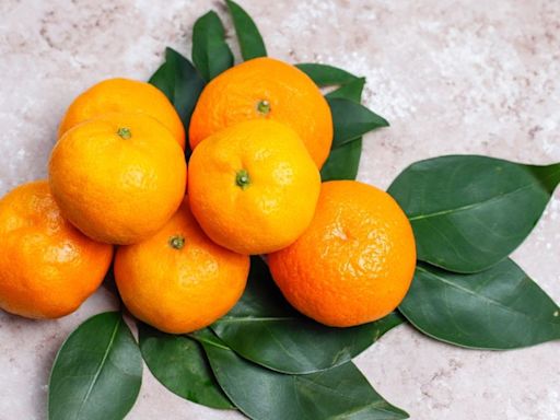 小林製藥引發紅麴風暴 柑橘類黃酮成替代新選擇 | 蕃新聞