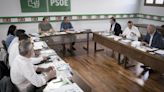 Los ocho secretarios provinciales del PSOE-A cierran filas con Juan Espadas por los resultados de las elecciones europeas