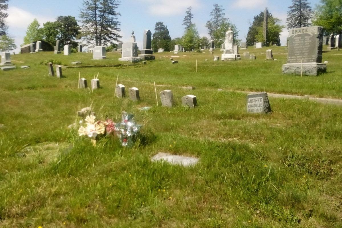 Who stole U.S. flags from NJ vet graves? You won't believe it