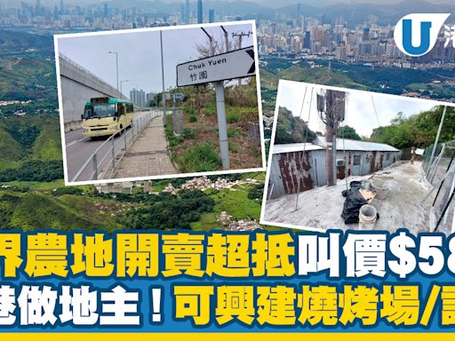 新界農地開賣超抵叫價$58萬 香港做地主！可興建燒烤場/設施