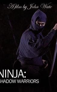 Ninja Shadow Warriors