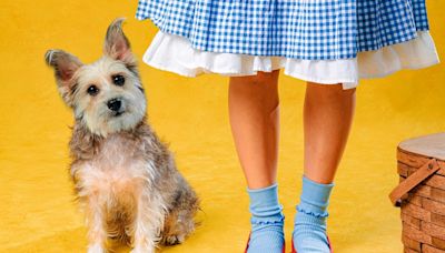 The Wizard of Oz to have four-weekend run at San Antonio's San Pedro Playhouse