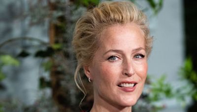 Gillian Anderson takes brutal aim as she is mistaken for Conservative MP